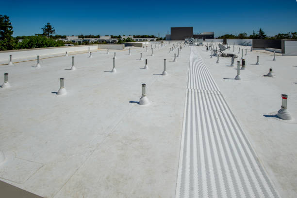 Best Roof Coating and Sealing  in Greer, SC